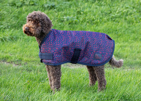 Varsa/koiraloimi 200g