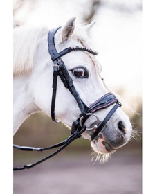 Suitset Special A-pony