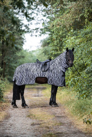 Hyönteisratsastusloimi Zebra
