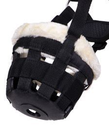 Karvallinen kuonokoppa