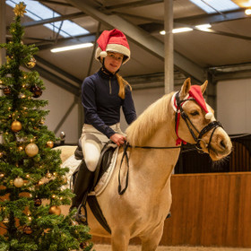 Tonttulakki hevosille ja poneille