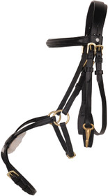 Meksikolaiset suitset