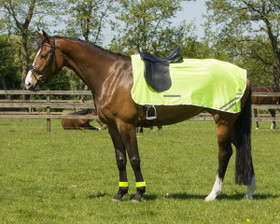 Heijastinratsastusloimi M