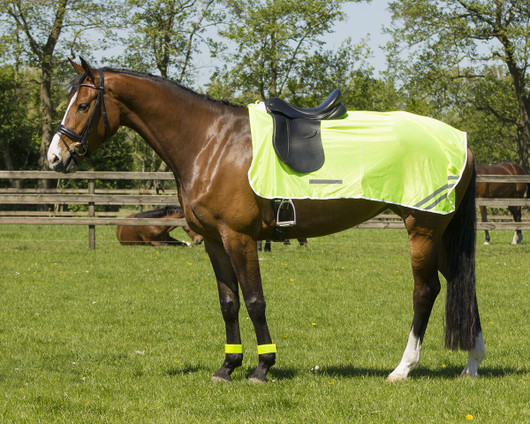 Heijastinratsastusloimi M