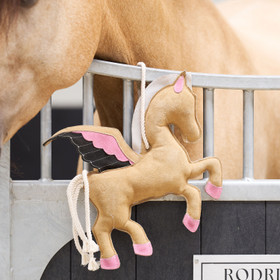 Aktivointilelu Pegasus