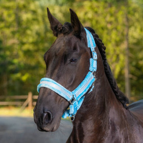 Strassikarvariimu Pilé