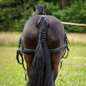 Nahkaiset valjakkovaljaat