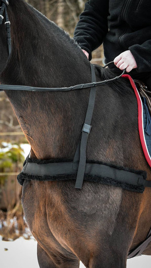 Hiihtoratsastusvaljaat