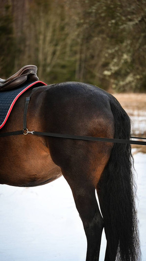 Hiihtoratsastusvaljaat