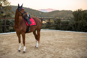 Kouluhuopa Grenadine