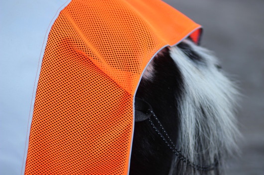 Heijastinratsastusloimi 105cm