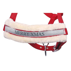 Ponin jouluriimu + naru