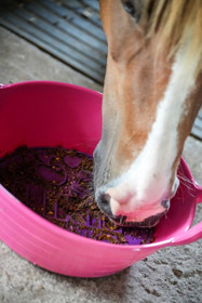 Graze Maze nuolumatto