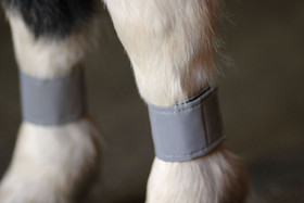 Heijastavat jalkatarrat ponille