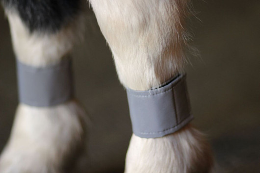 Heijastavat jalkatarrat ponille