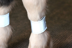 Heijastavat jalkatarrat ponille