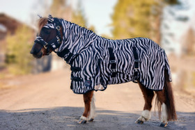 Hyönteisloimi Zebra