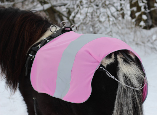 Heijastinajoloimi shettikselle