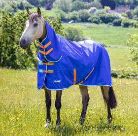 Fullneck sadeloimi 50g