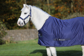 Shamrock Power kuivatusloimi