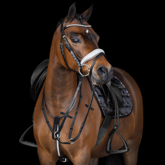 Martingaali Rainbow shettis