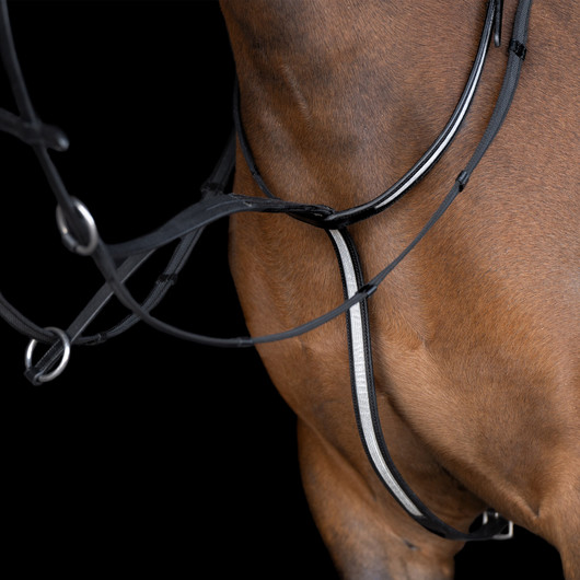 Martingaali Rainbow shettis