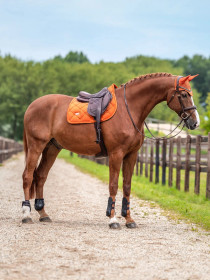 Estehuopa Velvet Chestnut
