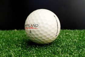 Kirkland Performance+, 25kpl