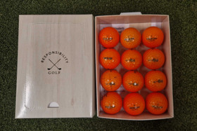 Bridgestone e6, Oranssi, 12 kpl