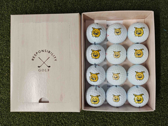 ILVES, keskitason pallot, 12 kpl