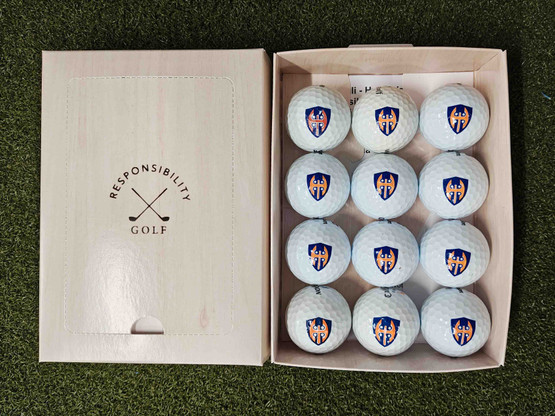 TAPPARA, keskitason pallot, 12 kpl