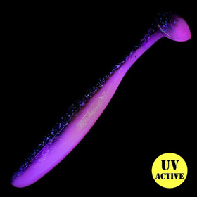Leela Bubblegum 5