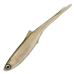 #104 Salakka 9cm 1kpl