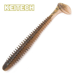 Blue Back Cinnamon 4