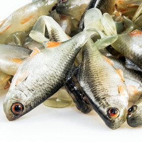 #01 ANGRY Bitterling 5cm 1kpl väri:NOO