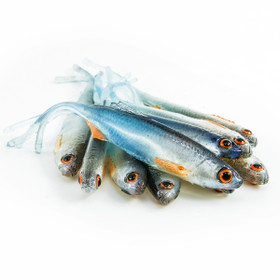 #16 ANGRY Bleak V-Tail 7cm 1kpl väri:NBO