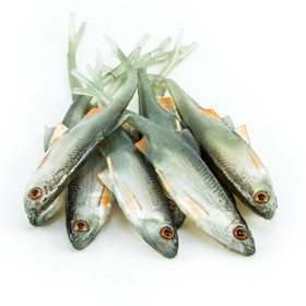 #24 ANGRY Bleak V-Tail 11,5cm 1kpl väri:NOO