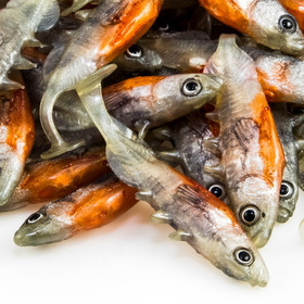 #07 ANGRY Stickleback 6cm 1kpl väri:SS