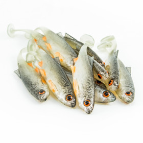 #11 ANGRY Bleak 6,5cm 1kpl väri:NOO