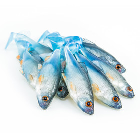 #18 ANGRY Roach 9cm 1kpl väri:NBO