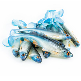 #20 ANGRY Bleak 10cm 1kpl väri:NBO