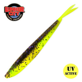 #284 Big Fish CT 4