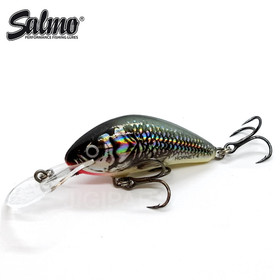 Holographic Grey Shiner (HGS) 4cm 3g