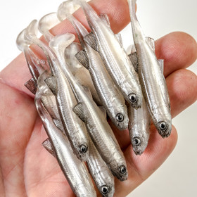 #43 ANGRY Chub 7cm 1kpl väri:TSW