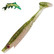 Reed Roach 10cm 6kpl