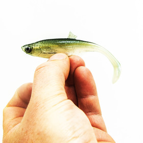 #57 ANGRY Bleak 10cm 1kpl väri:WGY