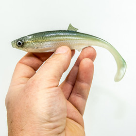 #63 ANGRY Bleak 15cm 1kpl väri:WGY