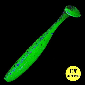 UV Perch 4