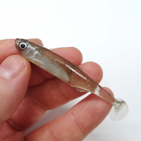 #12 Salakka 7,5cm 1kpl