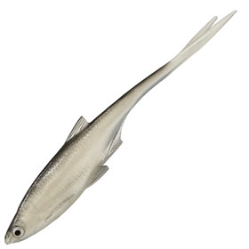 #79 Salakka 16cm 1kpl